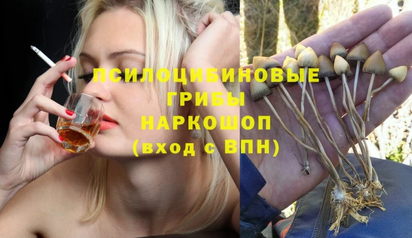 мдпв Коряжма