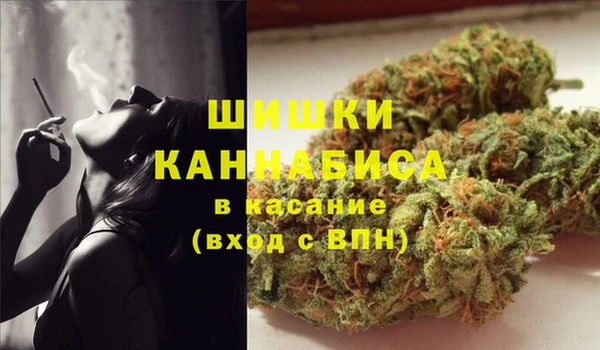 мдпв Коряжма