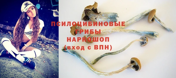 тгк Костерёво